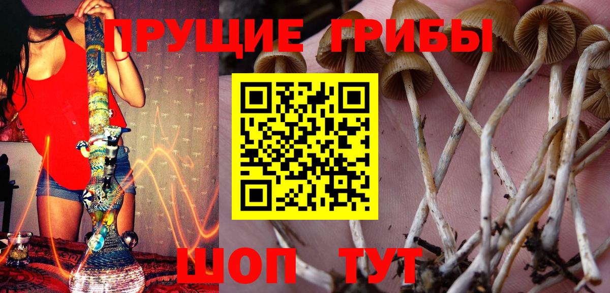 Каменка  Галлюциногенные грибы мицелий  Вход с VPN 