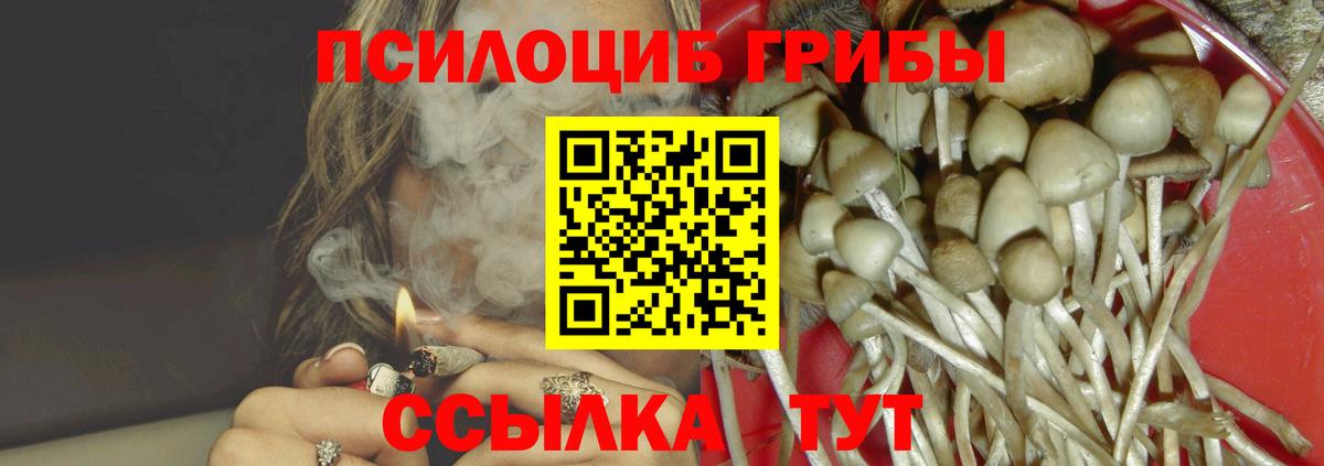 Галлюциногенные грибы Psilocybe Каменка